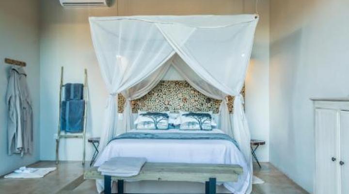 Kruger Sunset Lodge - Living with Lions