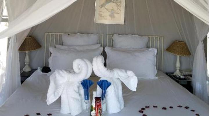 Call of the Wild Lodge