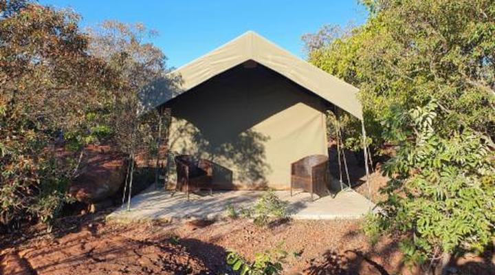 Lion and Cheetah Sanctuary