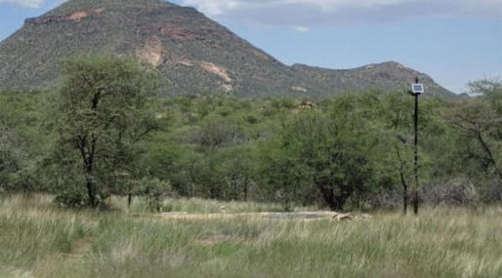 Otjohotozu Guest Farm