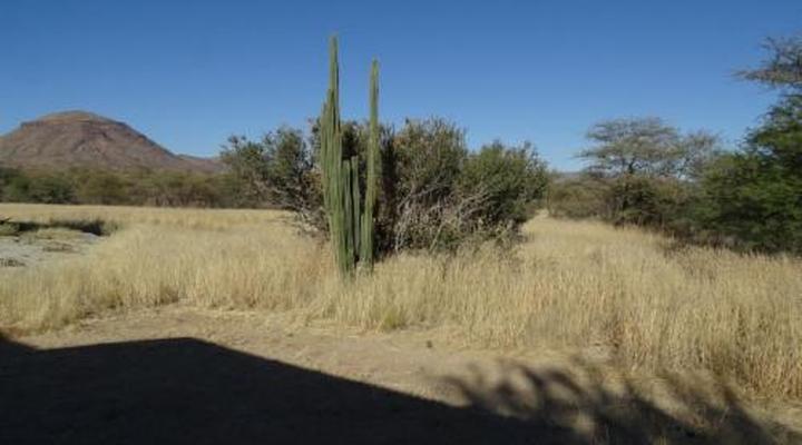 Otjohotozu Guest Farm