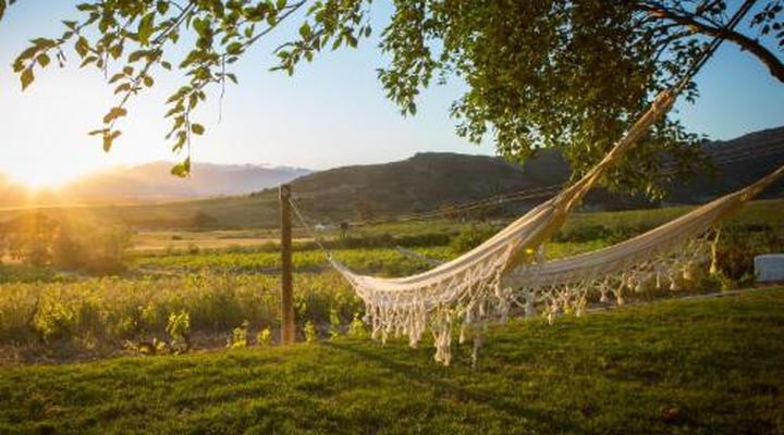 AA Badenhorst Family Wines