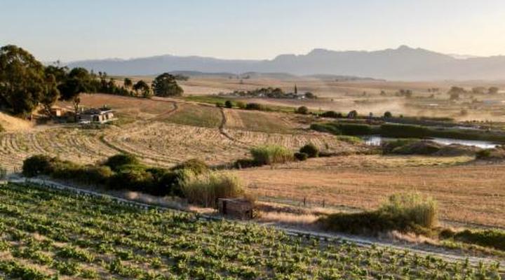 AA Badenhorst Family Wines