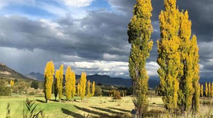 Birchwood A & B @ Clarens