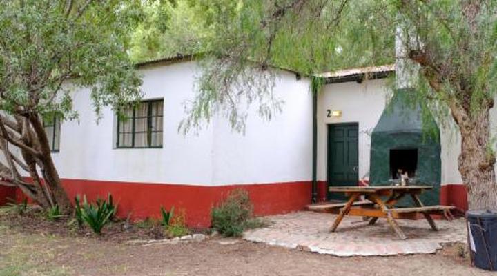 De Bos Backpackers& Camping