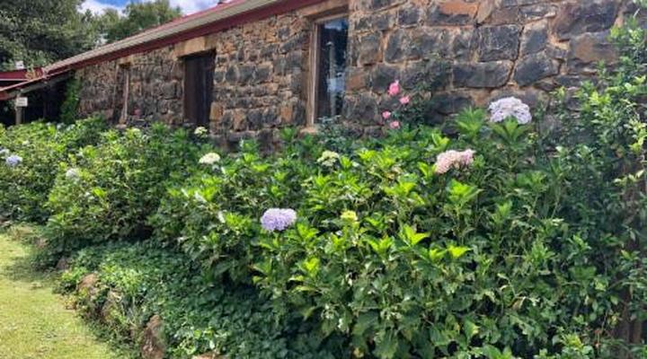 Springvale Farm Cottages