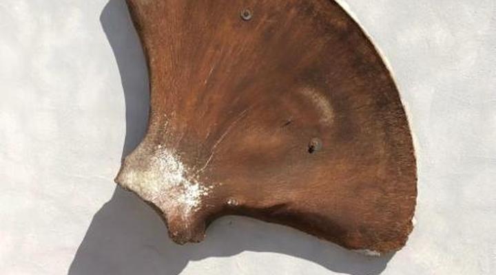  Old Cape Last Trading Post