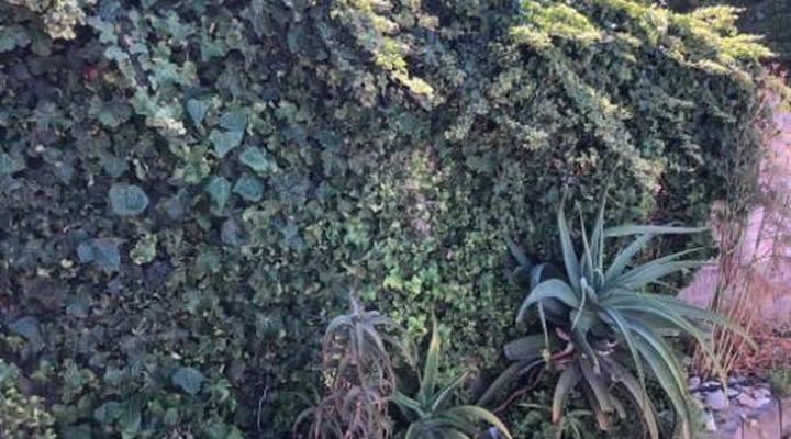  Old Cape Last Trading Post