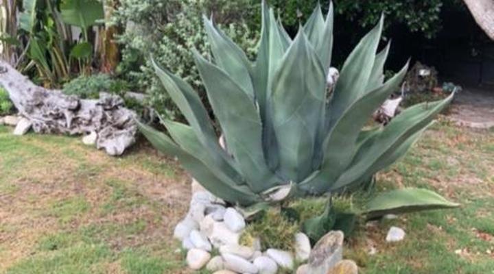  Old Cape Last Trading Post