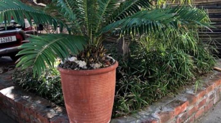  Old Cape Last Trading Post