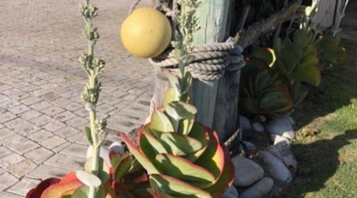  Old Cape Last Trading Post