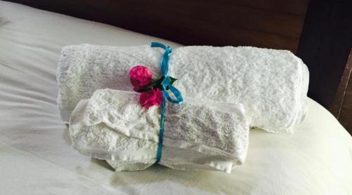 Wittedrift Manor House