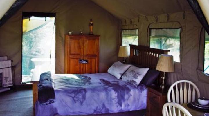 Thorn Tree Bush Camp - Tented camps and cabins