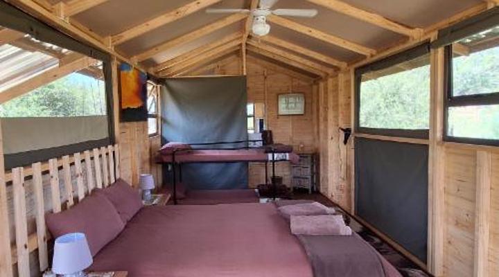 Thorn Tree Bush Camp - Tented camps and cabins