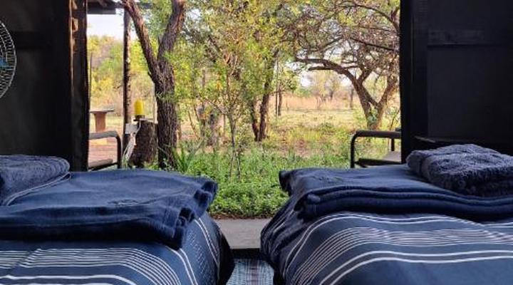 Thorn Tree Bush Camp - Tented camps and cabins