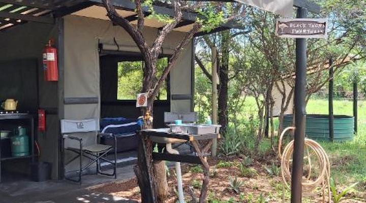 Thorn Tree Bush Camp - Tented camps and cabins