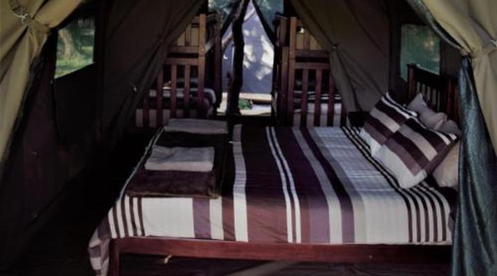 Thorn Tree Bush Camp - Tented camps and cabins
