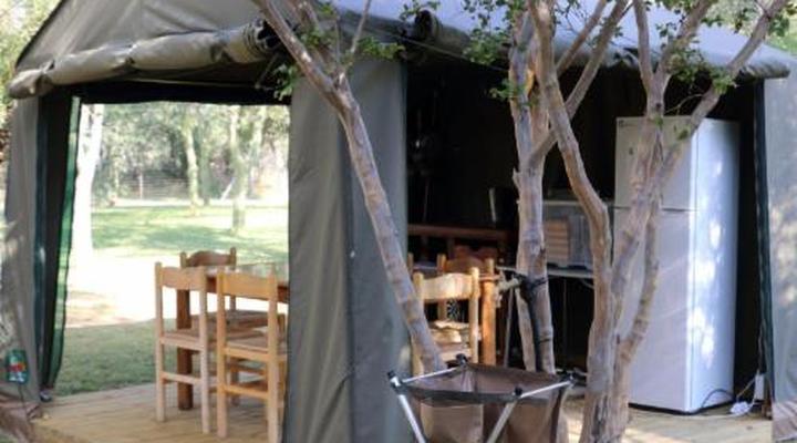 Thorn Tree Bush Camp - Tented camps and cabins