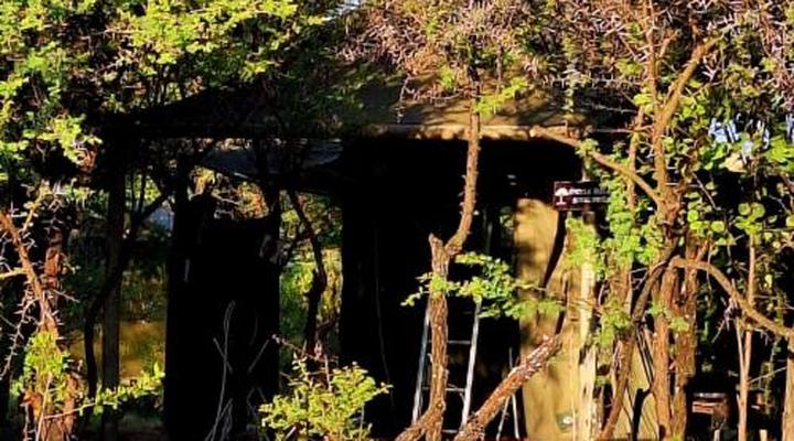 Thorn Tree Bush Camp - Tented camps and cabins