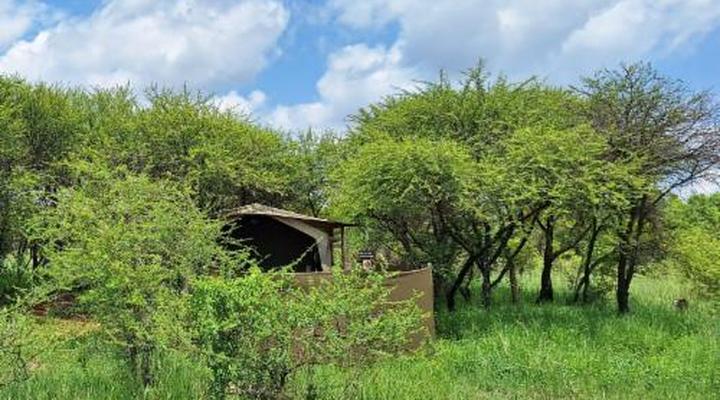 Thorn Tree Bush Camp - Tented camps and cabins