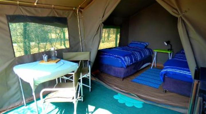 Thorn Tree Bush Camp - Tented camps and cabins