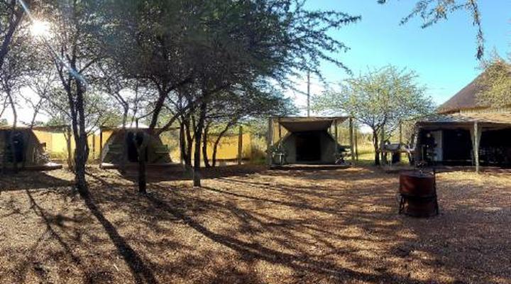 Thorn Tree Bush Camp - Tented camps and cabins