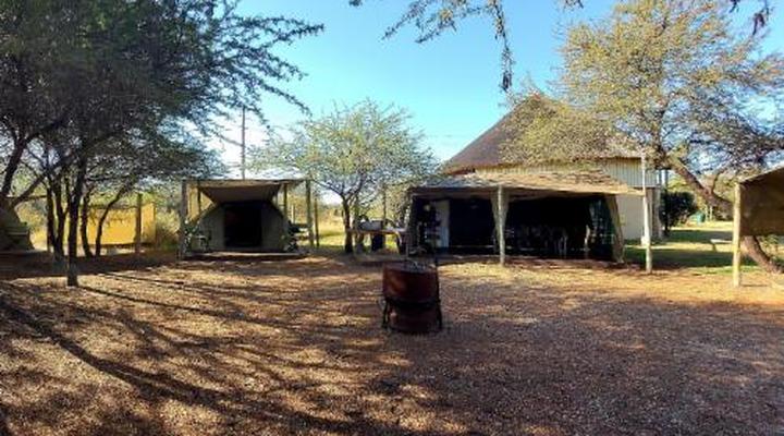 Thorn Tree Bush Camp - Tented camps and cabins