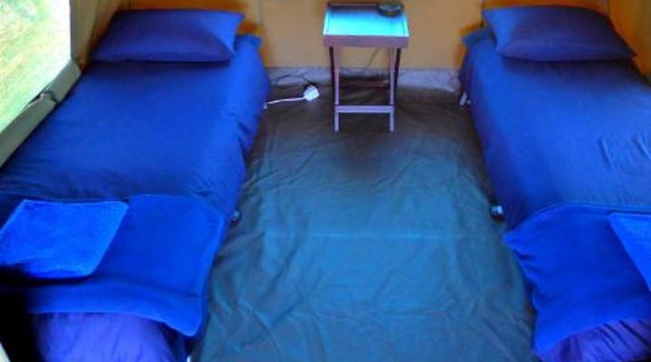 Thorn Tree Bush Camp - Tented camps and cabins