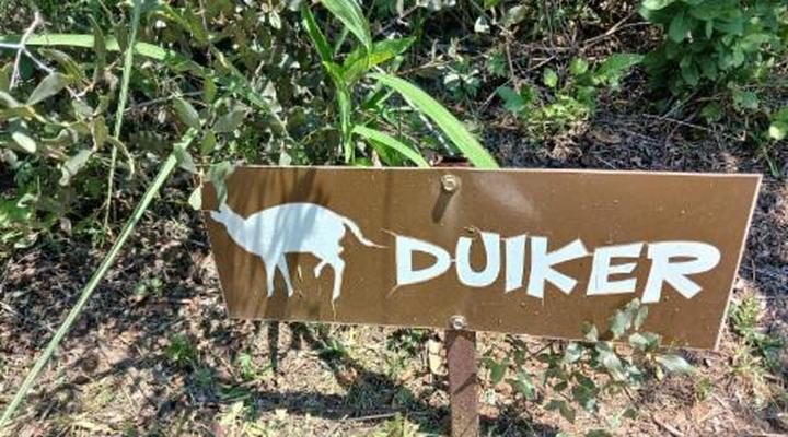 Thorn Tree Bush Camp - Tented camps and cabins