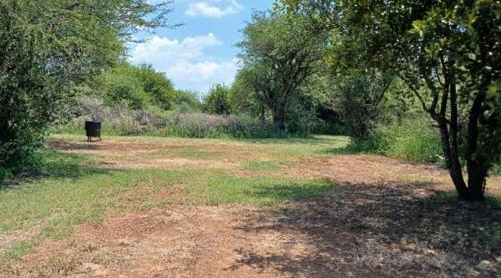 Thorn Tree Bush Camp - Tented camps and cabins