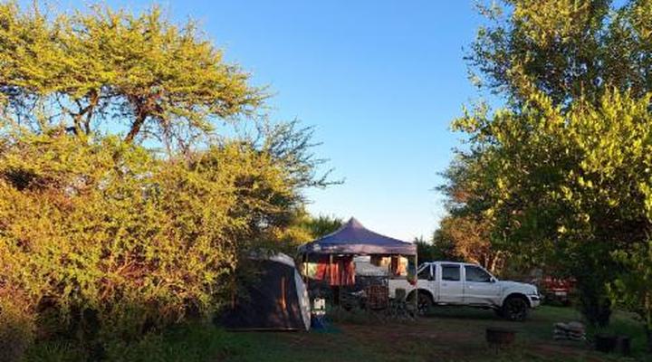 Thorn Tree Bush Camp - Tented camps and cabins