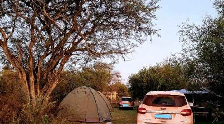 Thorn Tree Bush Camp - Tented camps and cabins