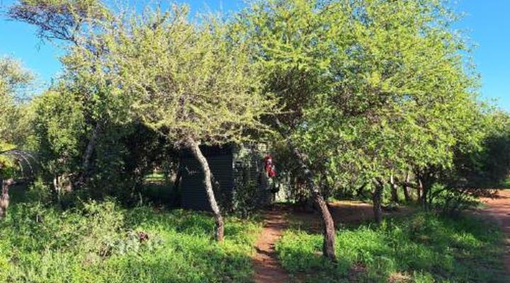 Thorn Tree Bush Camp - Tented camps and cabins