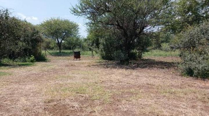 Thorn Tree Bush Camp - Tented camps and cabins