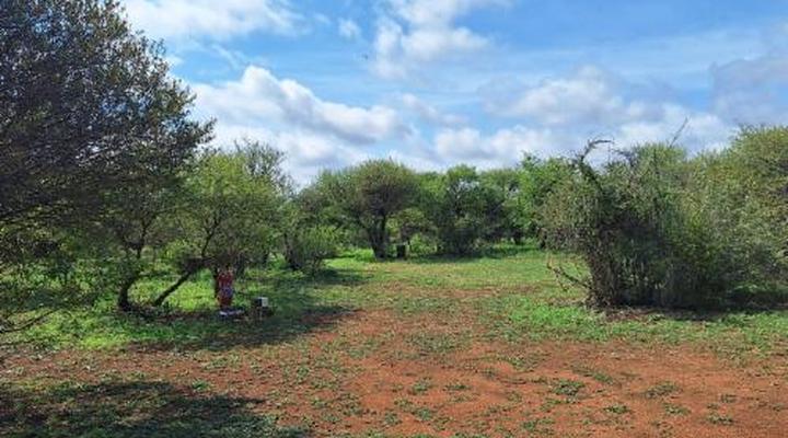 Thorn Tree Bush Camp - Tented camps and cabins