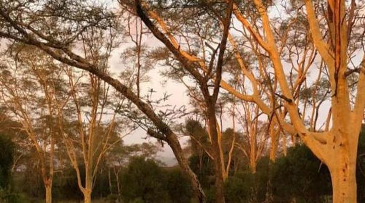 Msunduze River Lodge