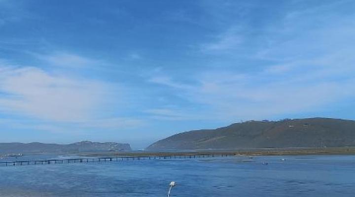 Phoenix Lodge and Waterside Accommodation