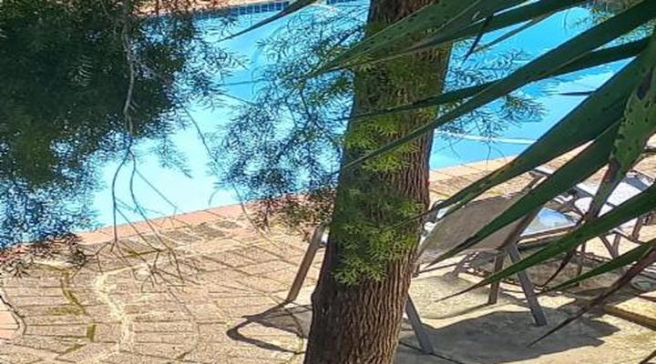 Kruger's Guest House