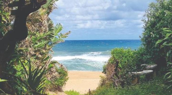 Milkwood Beach Cottages