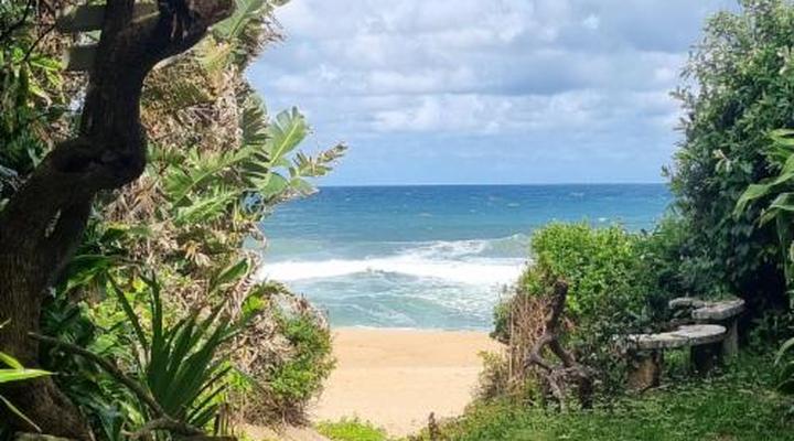 Milkwood Beach Cottages