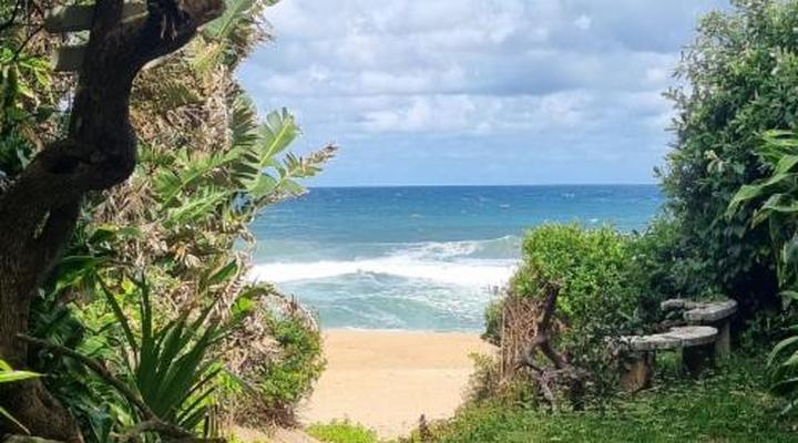 Milkwood Beach Cottages