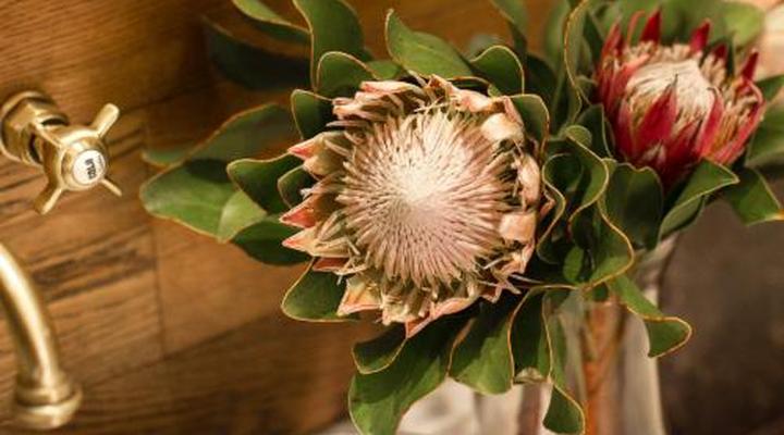 The Giglio Boutique Hotel