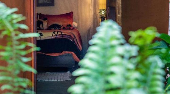 Victoria Falls Backpackers Lodge 