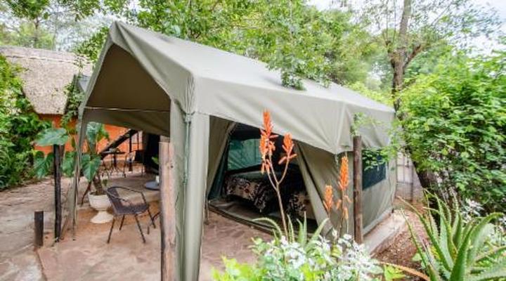 Victoria Falls Backpackers Lodge 