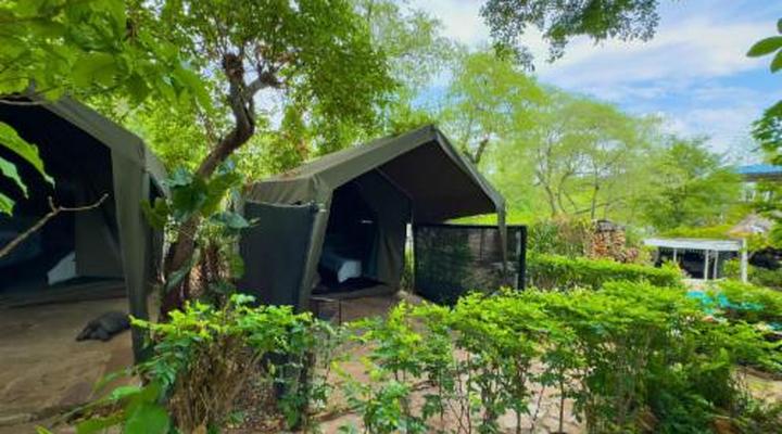 Victoria Falls Backpackers Lodge 