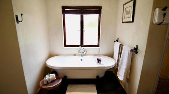 Ivory Wilderness River Rock Lodge