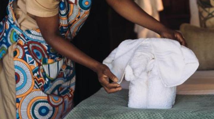 Ivory Wilderness River Rock Lodge