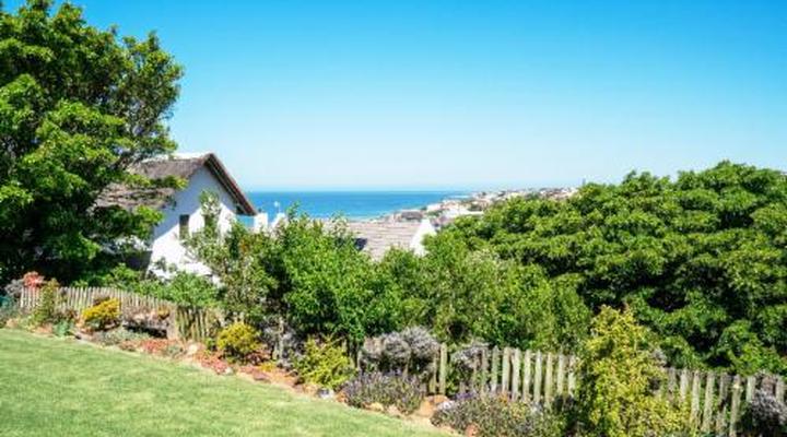 Cycads on Sea Guest House