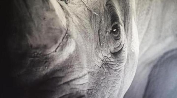 Peach on Beach Boutique Guesthouse