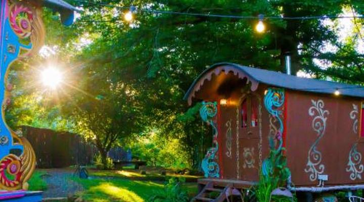 Gypsy Wagons Clarens 